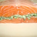 salmon-raw-wth-filling-84