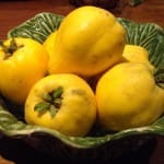quince-1