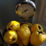 weighed-fresh-quince
